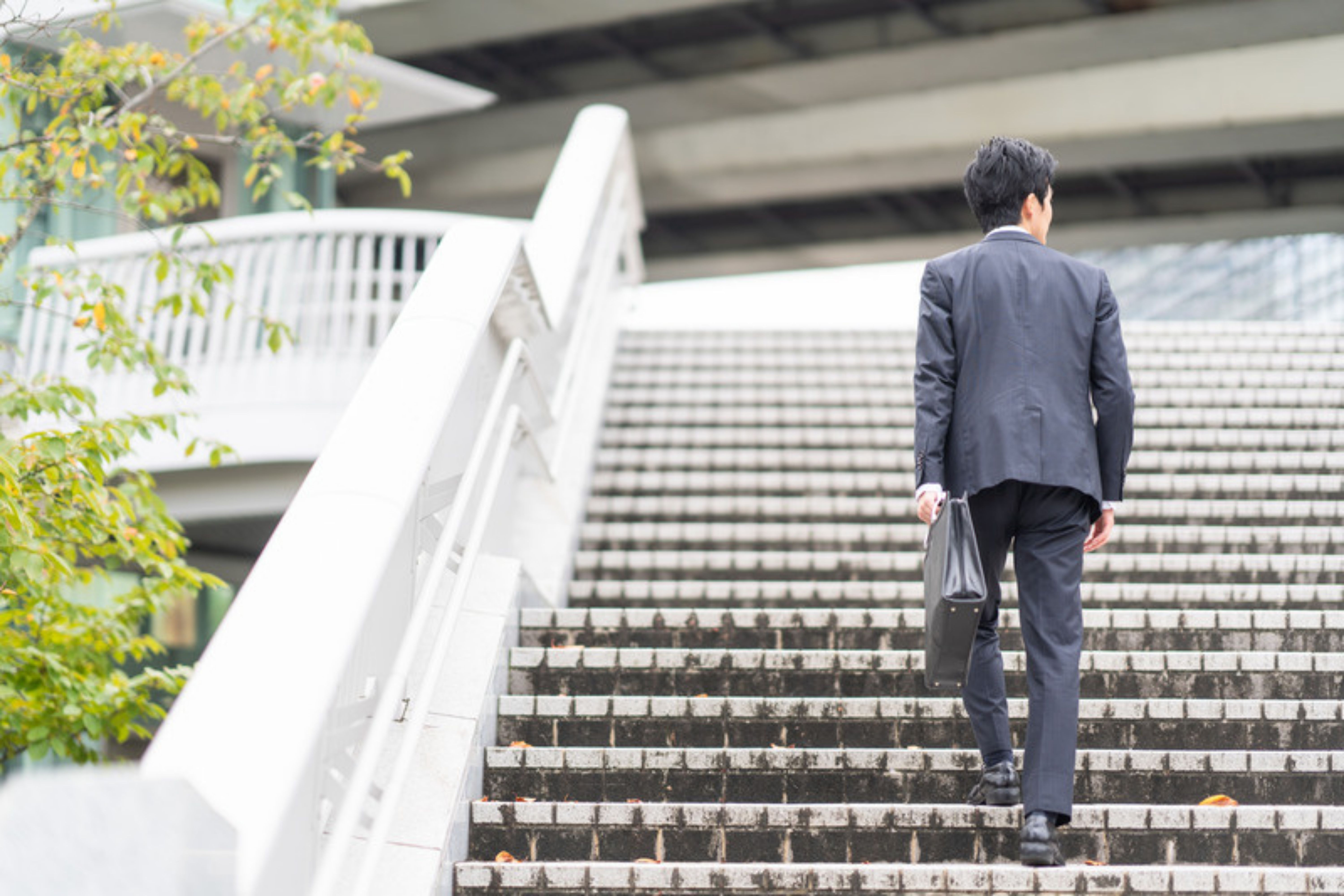 フィリックス株式会社の